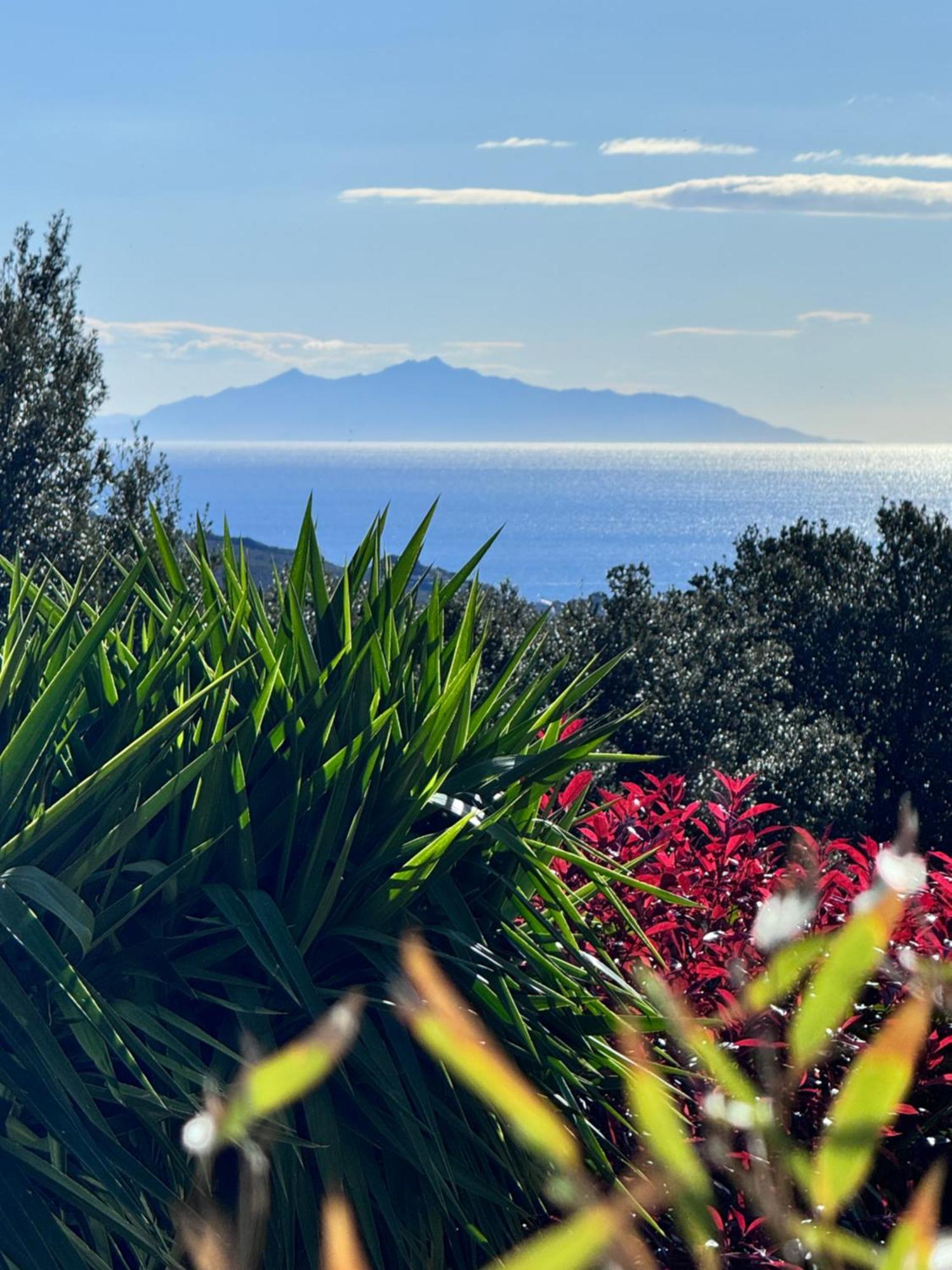 Gite Independant Dans Villa Entre Mer Et Maquis Sisco Exterior foto